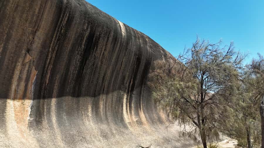 Perth: Wave Rock, Mulka's Cave, and York (Full Day Tour) - Who Would Love This Tour?