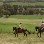 Petaluma: Romantic Private Horse Ride & Wine Tasting Package - What You Can Expect Step-by-Step