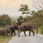 Pete City Walk - Final Thoughts