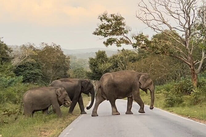 Pete City Walk - Final Thoughts