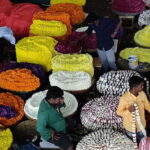 Pete walk, an immersive walking tour in Bangalore with a guide - The Practicalities: What to Expect