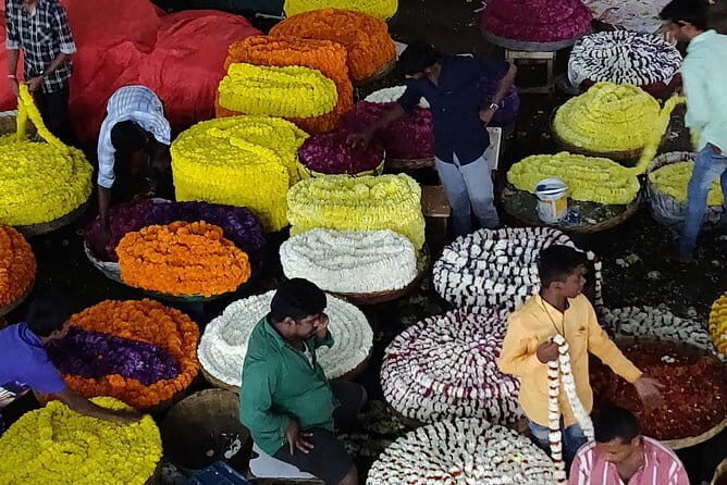 Pete walk, an immersive walking tour in Bangalore with a guide - The Practicalities: What to Expect