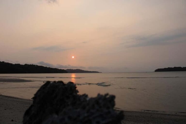 Peucang Island: 3-Day Ujung Kulon National Park EcoTour - What Makes This Tour Stand Out?