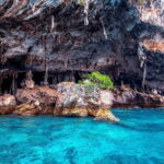 Phi Phi Islands Speedboat Tour: Khai & Maya - In-Depth Breakdown of the Itinerary