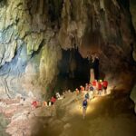 Phong Nha - Ke Bang National Park & Cave Tour - What Makes This Tour Stand Out?