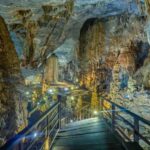Phong Nha National Park: Paradise Cave Half-Day Tour - An In-Depth Look at the Paradise Cave Half-Day Tour
