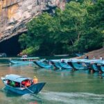 Phong Nha Paradise Cave Expedition - Why This Tour Offers Real Value