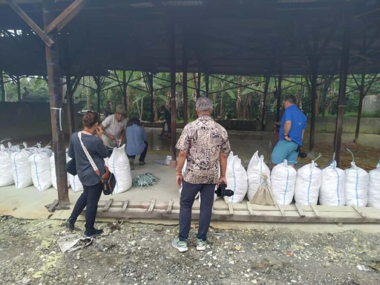 Photo Concept Tour BWI: Sunrise, Culture, and Everyday Life - Visiting a Traditional Batik Workshop