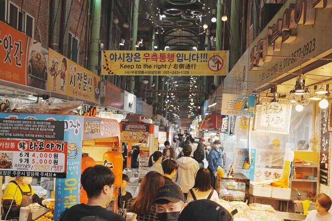 [Photography Tour] Busan Night Tour (Max. 7 Pax) - Authentic Insights from Reviews