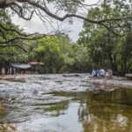 Phu Quoc Full Day Tour Cua Can River - Who Will Enjoy This Tour?