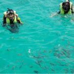 Phu Quoc Island Hopping and Snorkeling Tour with Lunch - Value for Money