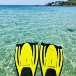 Phu Quoc Private Snorkeling Tour An Thoi Islands Speedboat - Final Thoughts