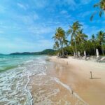 Phu Quoc Sightseeing Day Tour - Who Will Love This Tour?