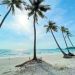 Phu Quoc Sightseeing Day Tour - What’s Included and What’s Not