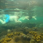 Phu Quoc: Snorkeling and Island Hopping By Speedboat with Lunch - Authentic Insights from Past Travelers