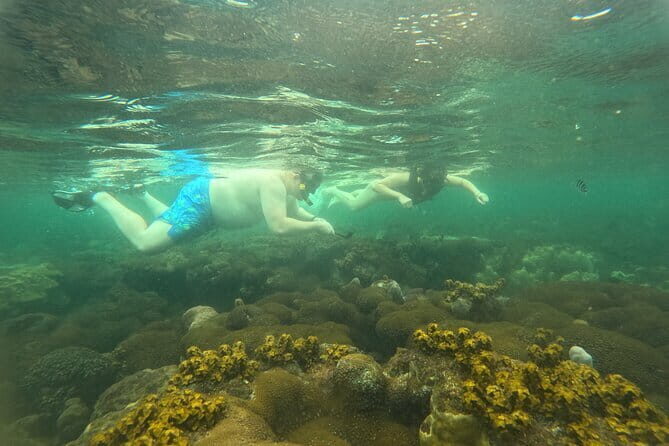 Phu Quoc: Snorkeling and Island Hopping By Speedboat with Lunch - Authentic Insights from Past Travelers