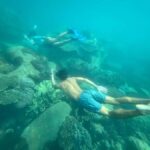 Phu Quoc: Snorkeling & Island Discovery Full-Day Tour - What to Expect at Each Stop