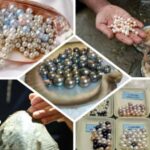 Phu Quoc South Island Tour  Lunch & No-Pressure Shopping - The Sum Up