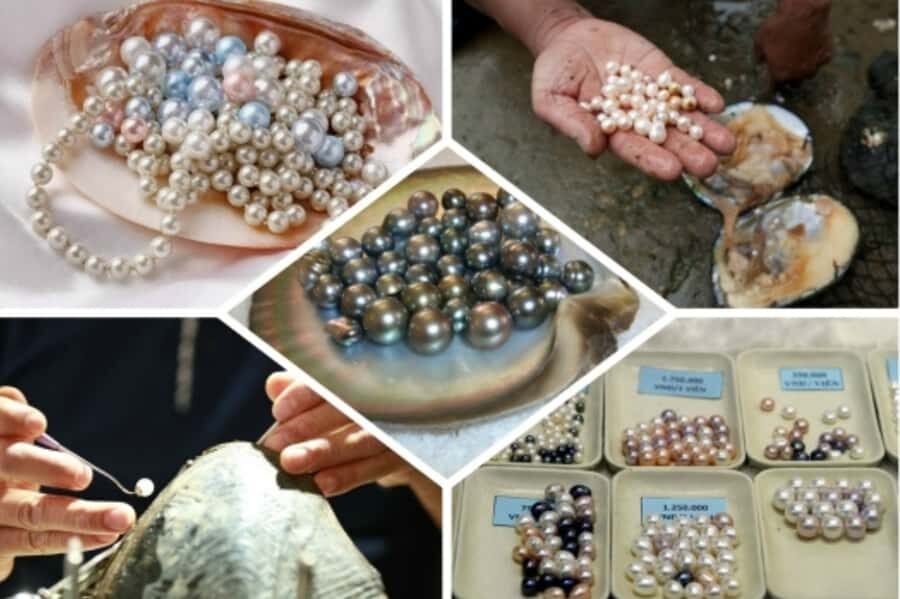 Phu Quoc South Island Tour Lunch & No-Pressure Shopping - The Sum Up