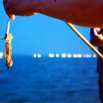 Phu Quoc: Sunset with Night Squid Fishing & Dinner - Good To Know