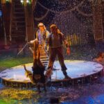 Phuket Aqua Circus Admission Ticket - The Review from Real Travelers: Insights & Cautions