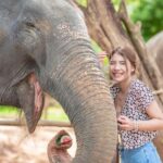 Phuket: Elephant Jungle Sanctuary Ethical Feeding Experience - The Benefits of This Tour