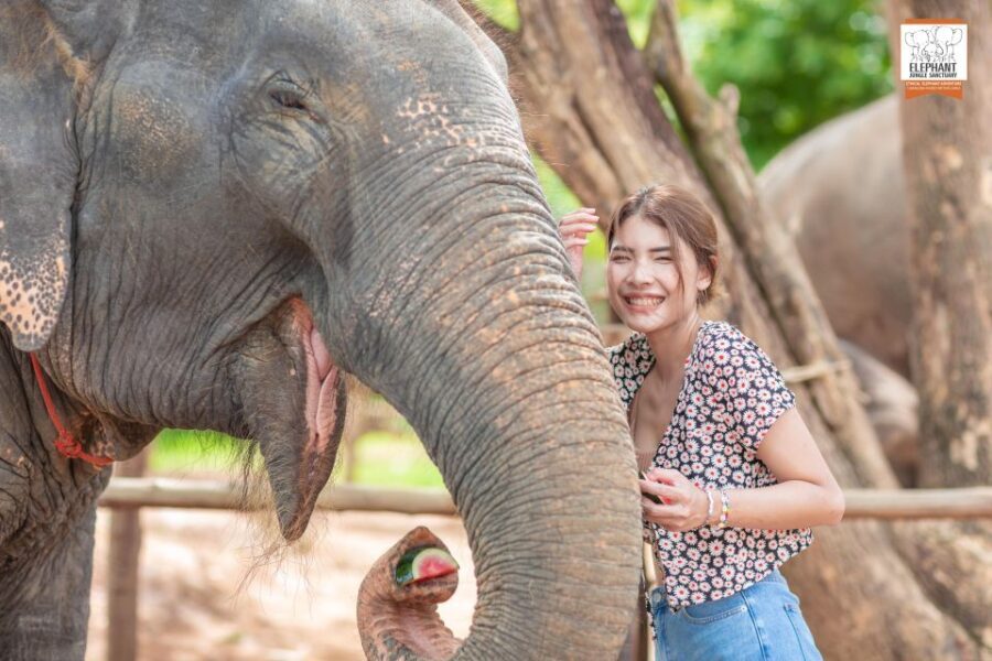 Phuket: Elephant Jungle Sanctuary Ethical Feeding Experience - The Benefits of This Tour
