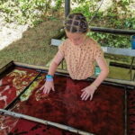 Phuket Elephant Nature Reserve Ethical Sanctuary - What Makes This Tour Stand Out