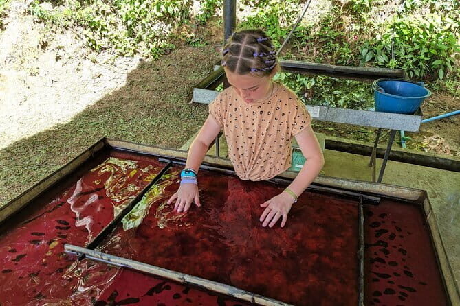 Phuket Elephant Nature Reserve Ethical Sanctuary - What Makes This Tour Stand Out