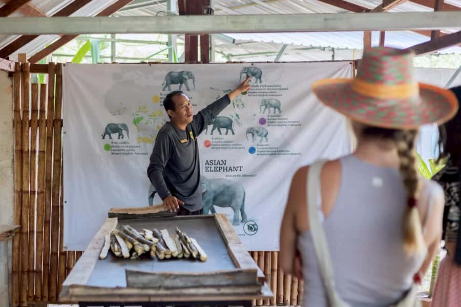Phuket: Full-Day Ethical Elephant Sanctuary Tour with Lunch - Why This Tour Is Worth Considering