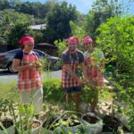 Phuket: Garden Thai Cooking Class With Local Market Visit - Who Will Love This Experience?