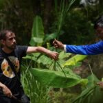 Phuket: Guide Tour to Patong Elephant Sanctuary - Who Is This Tour Best For?