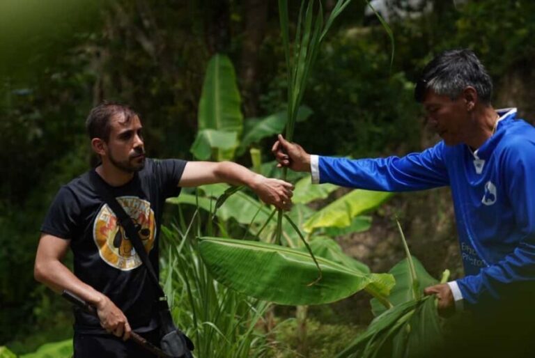 Phuket: Guide Tour to Patong Elephant Sanctuary - Who Is This Tour Best For?