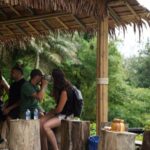 Phuket: Guided Tour to Elephant Sanctuary & Hotel Transfer - What Sets This Tour Apart