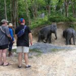 Phuket: Guided Tour to Elephant Sanctuary with Transfer - Practical Details and Tips