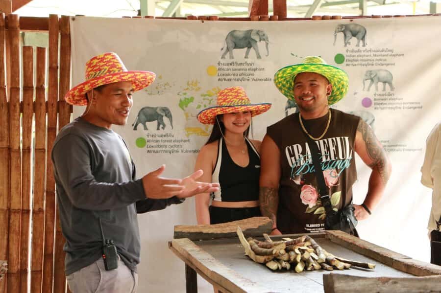 Phuket: Half-Day Ethical Elephant Sanctuary Tour with Lunch - Why This Tour Represents Good Value