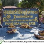 Phuket: Highlights Sea Turtle Center, Rafting ,Temple Tour - Practical Details & Tips for Travelers