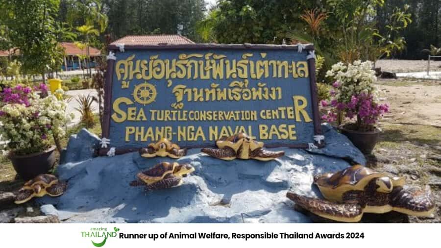 Phuket: Highlights Sea Turtle Center, Rafting ,Temple Tour - Practical Details & Tips for Travelers