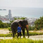 Phuket Highlights Tour Big Buddha Temple and Elephant Sanctuary - Practical Details and Value
