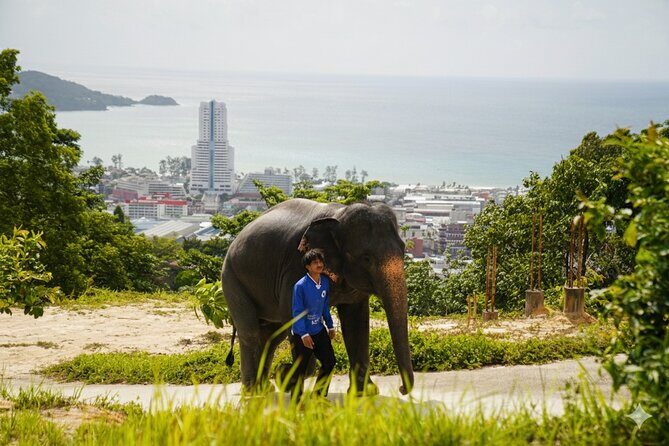 Phuket Highlights Tour Big Buddha Temple and Elephant Sanctuary - Practical Details and Value