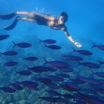 Phuket: Koh Rok and Koh Ha Day Trip (Best of Marine Park) - Practical Details and Tips