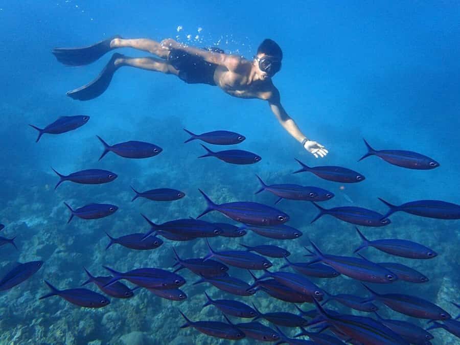 Phuket: Koh Rok and Koh Ha Day Trip (Best of Marine Park) - Practical Details and Tips