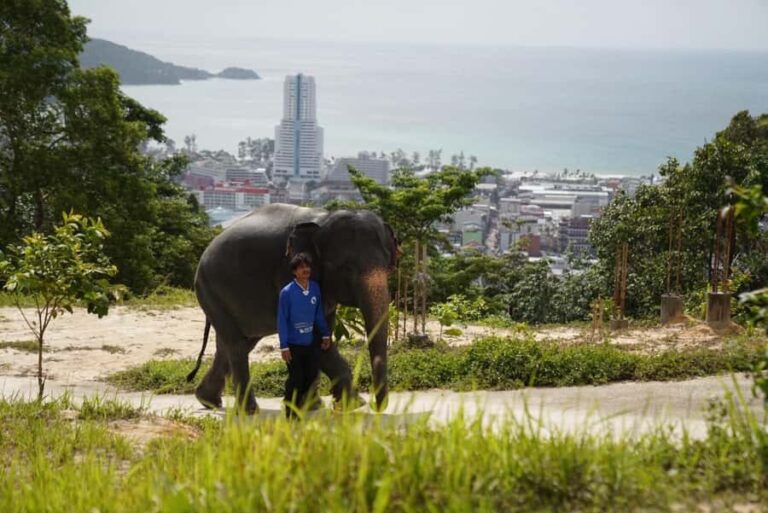 Phuket: Patong Highlights Elephant Sanctuary Tour - Detailed Breakdown of the Itinerary