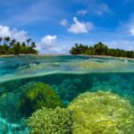 Phuket: Racha Noi & Maiton Catmaran Tour with Beach Picnic - The Itinerary Breakdown