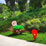 Phuket: Rock Beach Swing Entry Ticket - The Itinerary and What to Expect