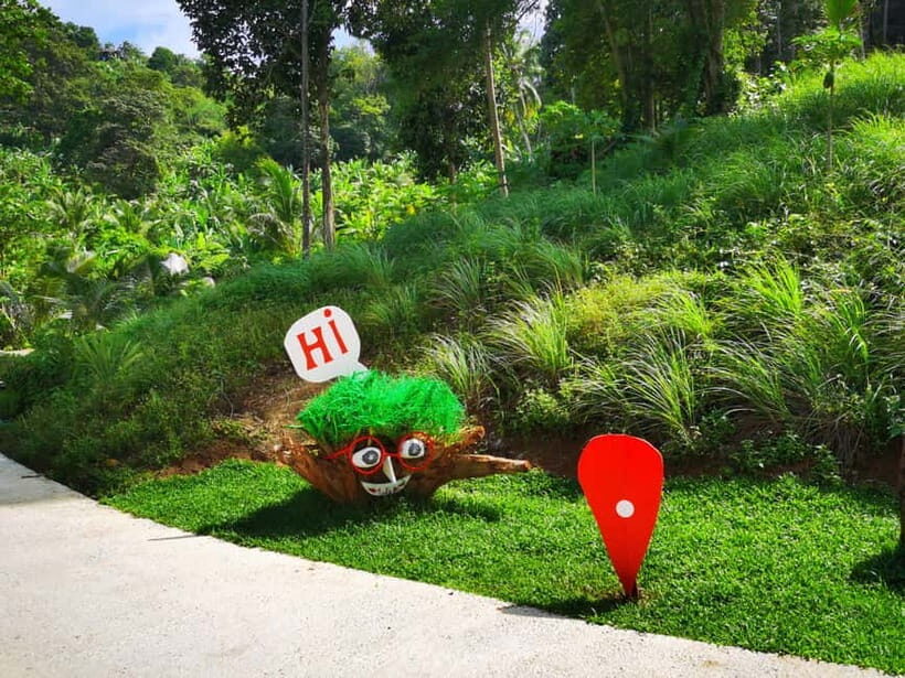 Phuket: Rock Beach Swing Entry Ticket - The Itinerary and What to Expect