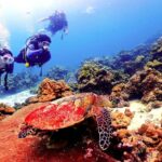 Phuket: Scuba Diving Maithon Or Racha Islands For All Levels - Final Thoughts: Is This Tour for You?