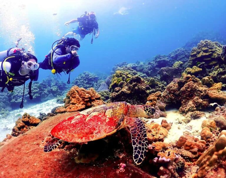 Phuket: Scuba Diving Maithon Or Racha Islands For All Levels - Final Thoughts: Is This Tour for You?