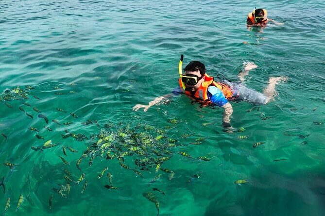 Phuket Speedboat Tour to Yao Noi & Hong Island - Authentic Experiences and Practical Insights