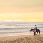 Phuket Sunset Horse Riding at Kamala Beach - Authentic Insights from Reviewers